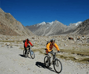 Mountain Biking