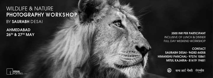 Wildlife Photography Workshop in Ahmedabad