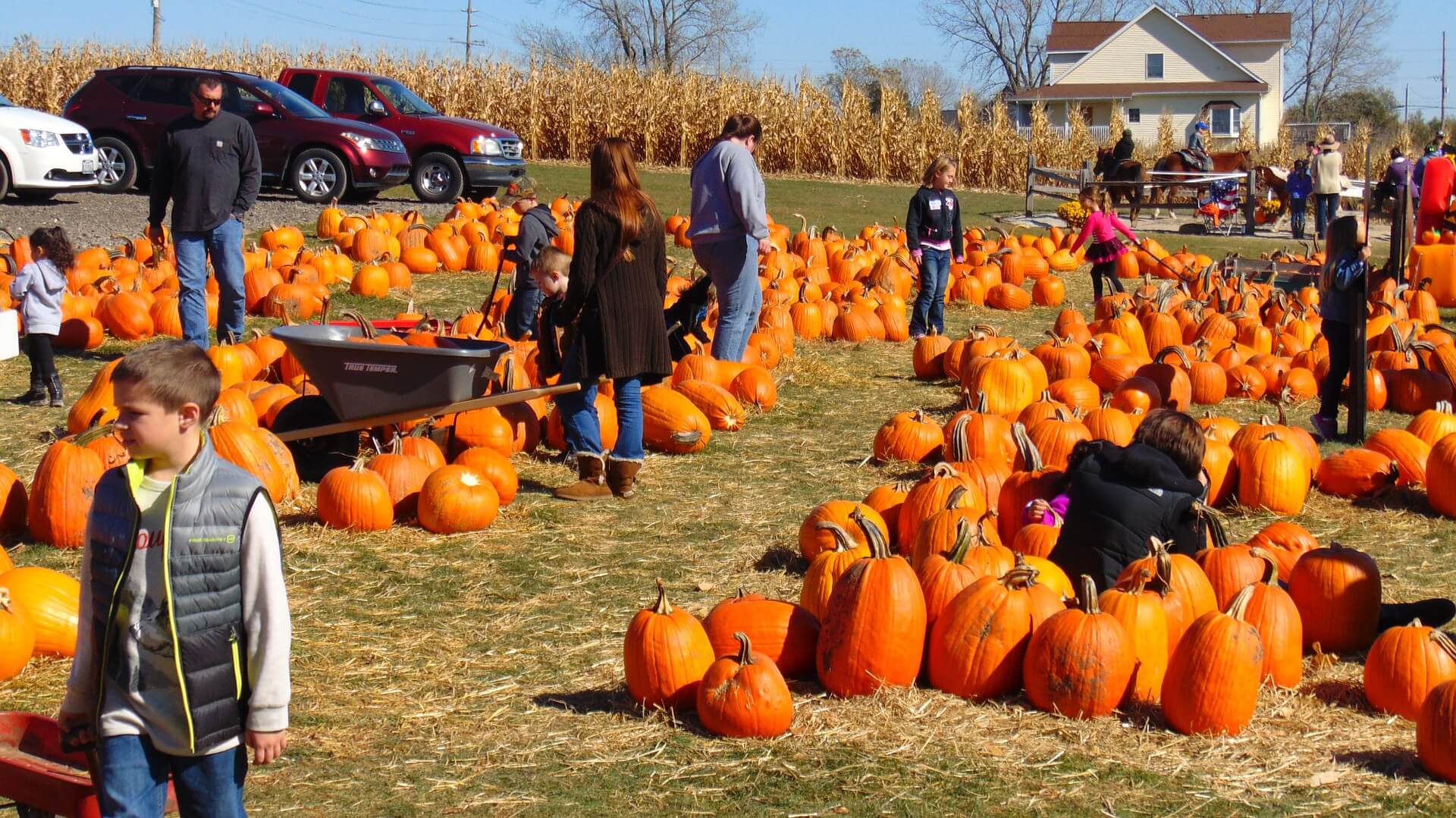 new hampshire pumpkin festival