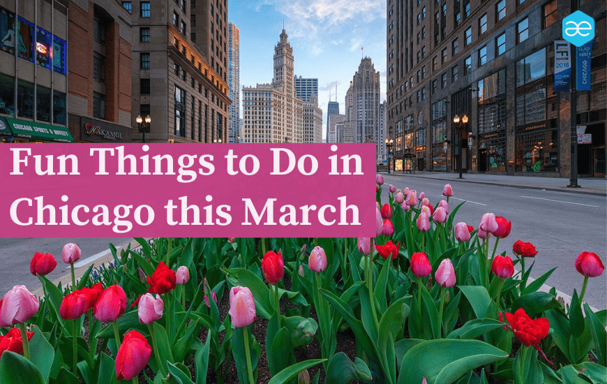 Fun Things to Do in Chicago this March 2024